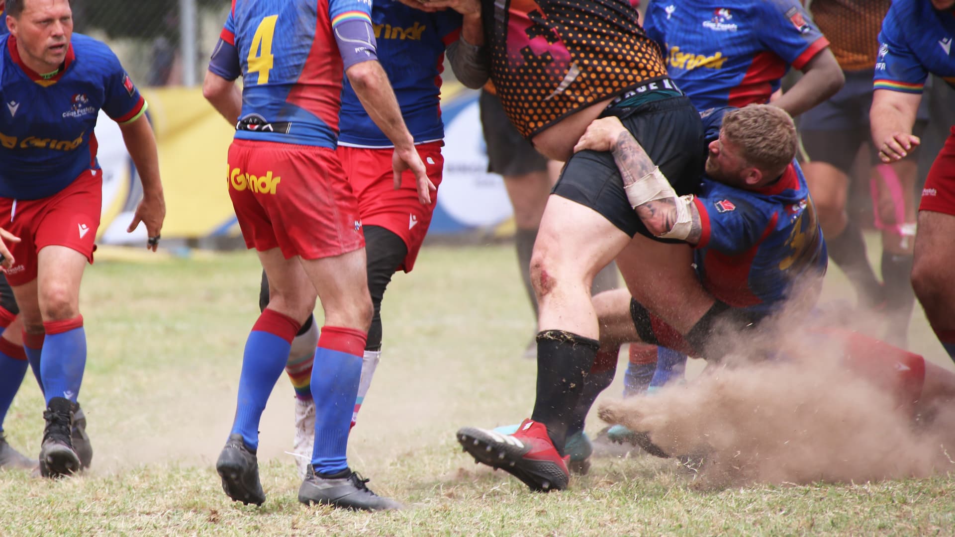 Les Coqs Festifs — photo d'équipe à l'entraînement ou en match